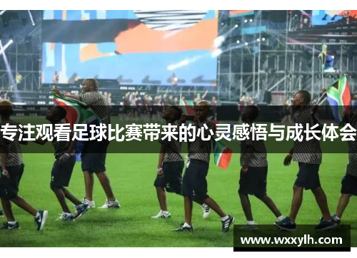 专注观看足球比赛带来的心灵感悟与成长体会
