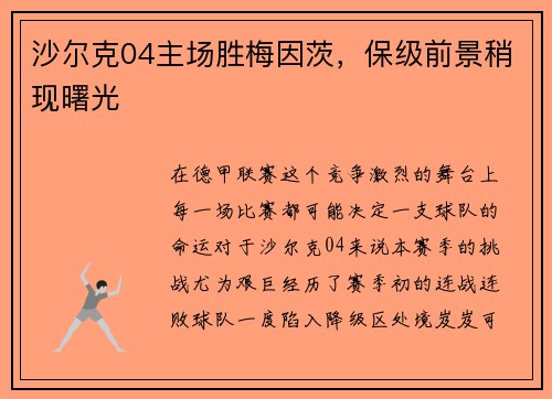 沙尔克04主场胜梅因茨，保级前景稍现曙光